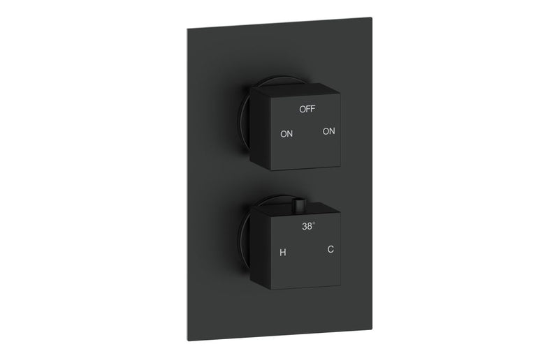 Mineral Thermostatic Two Outlet Twin Shower Valve - Matt Black - KPSB108591