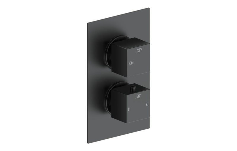Mineral Thermostatic Single Outlet Twin Shower Valve - Matt Black - KPSB111402
